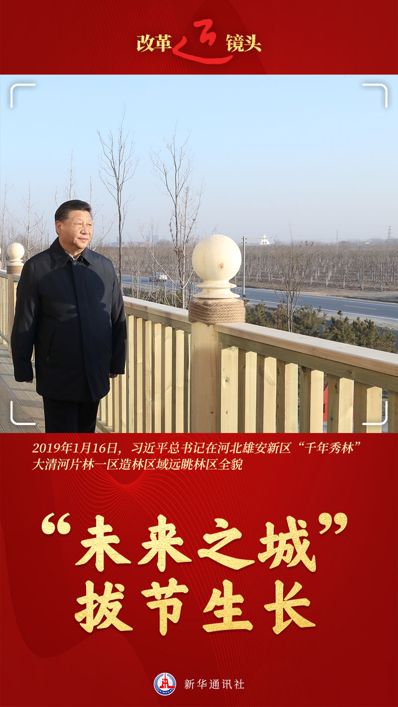 改革近鏡頭｜“未來(lái)之城”，拔節(jié)生長(zhǎng)