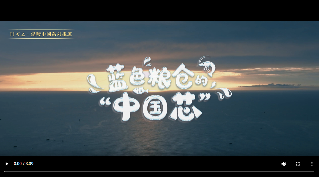時習(xí)之·溫暖中國丨藍(lán)色糧倉的“中國芯”