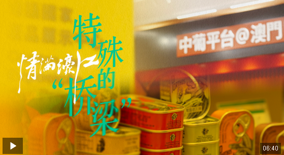 情滿濠江丨特殊的“橋梁”