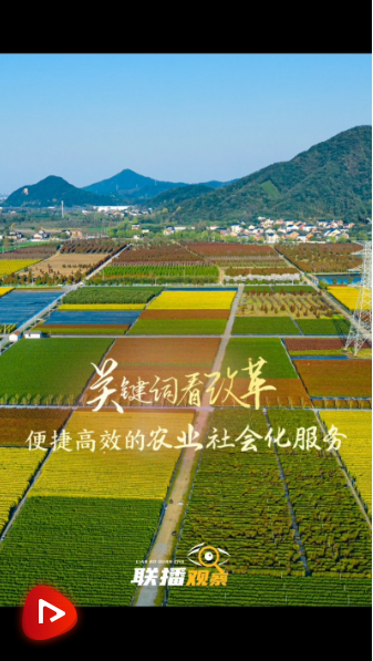 聯(lián)播觀察｜關(guān)鍵詞看改革 便捷高效的農(nóng)業(yè)社會(huì)化服務(wù)