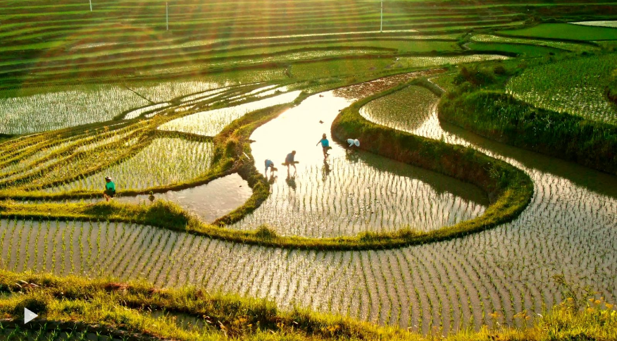 中國(guó)成功打贏脫貧攻堅(jiān)戰(zhàn)的世界意義，這三篇文章說清楚了