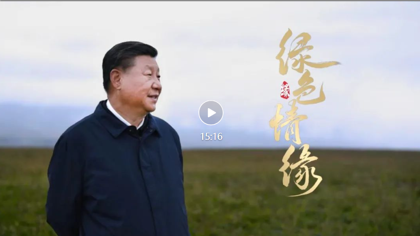 綠色情緣