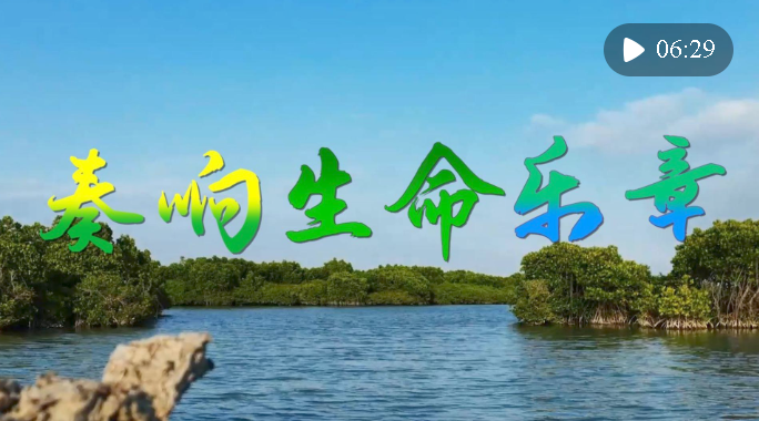 微視頻｜奏響生命樂(lè)章