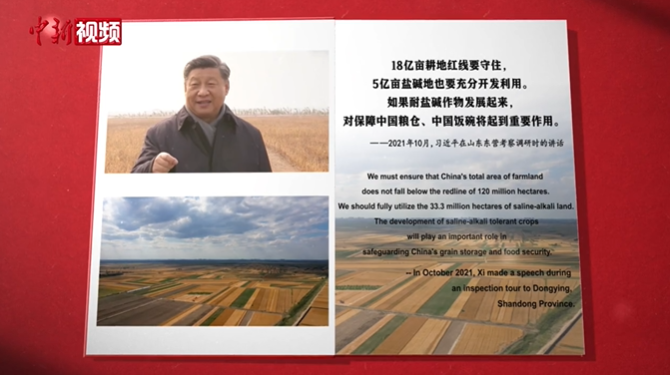 時(shí)政微視頻｜習(xí)近平牽掛的鹽堿地“蝶變”