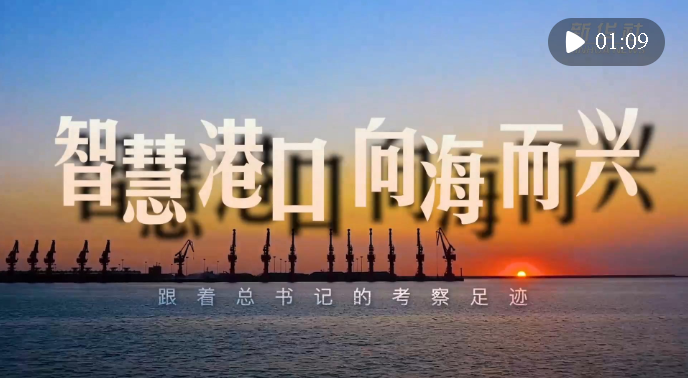 跟著總書記的考察足跡丨智慧港口 向海而興