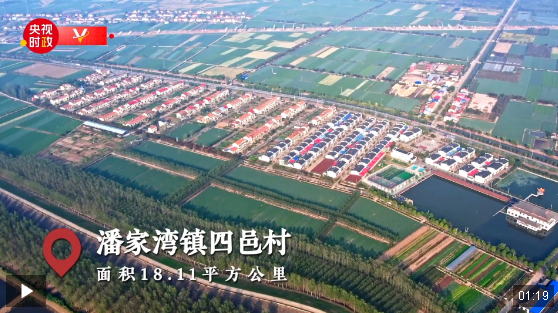 習(xí)近平湖北行丨蔬菜長廊向振興——走進(jìn)嘉魚縣潘家灣鎮(zhèn)四邑村