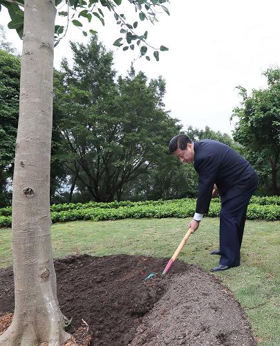 改革·印記丨12年，總書記種下的“信心樹”枝繁葉茂