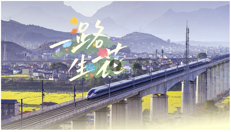 2024特別版《一路生花》