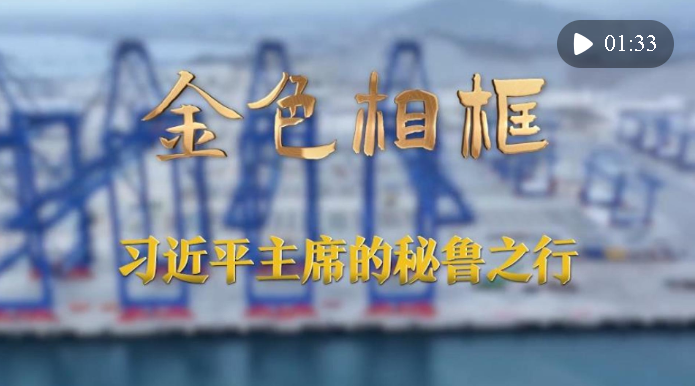 “從歷史長周期把握世界大勢”——習近平主席出席亞太經合組織第三十一次領導人非…