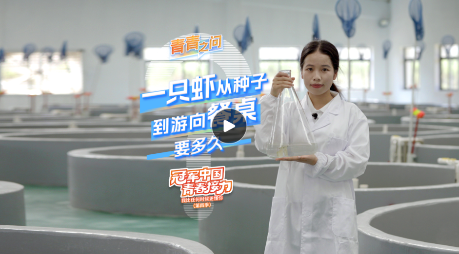 冠軍中國·青春接力｜一只蝦從種子到游向餐桌要多久？