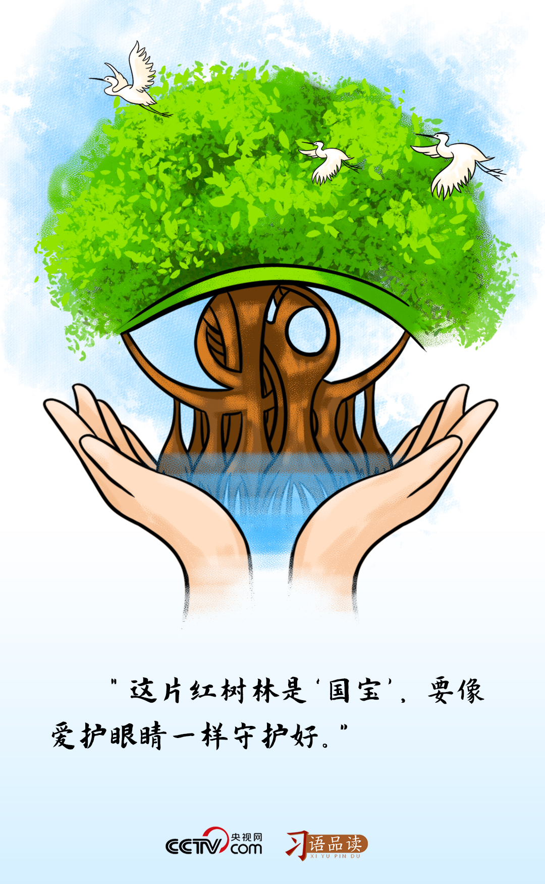 習(xí)語品讀｜這片紅樹林是“國寶”，要像愛護(hù)眼睛一樣守護(hù)好