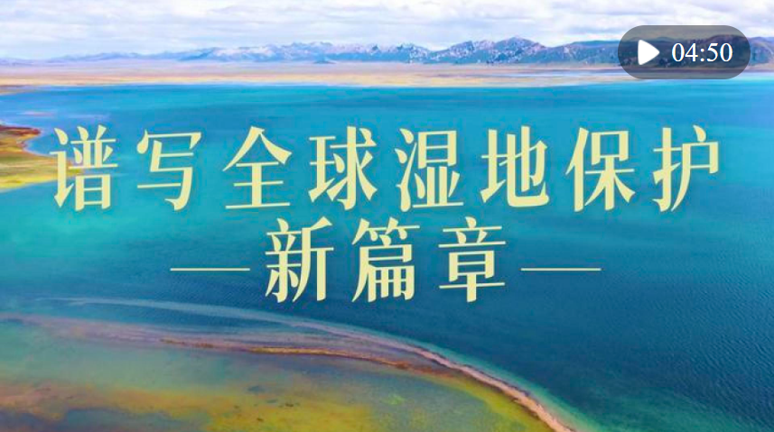 微視頻｜譜寫全球濕地保護新篇章