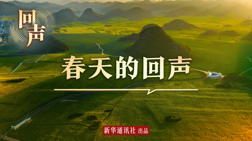春天的回聲