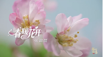 聲在中國 |《福暖四季·春節(jié)篇》新春音樂特輯《春暖花開》