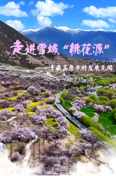 習(xí)近平總書記關(guān)切事｜走進(jìn)雪域“桃花源”——青藏高原鄉(xiāng)村發(fā)展見聞
