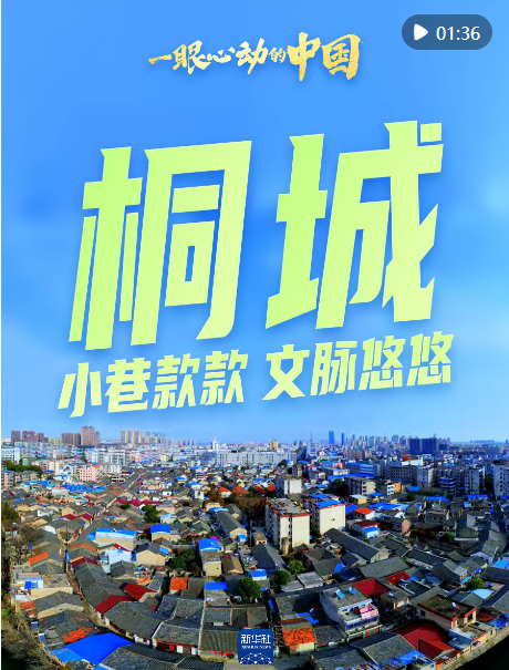 一眼心動的中國｜跟著總書記探尋桐城文脈悠長