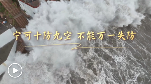 第一視點·習近平在浙江的改革故事丨寧可十防九空，不能萬一失防