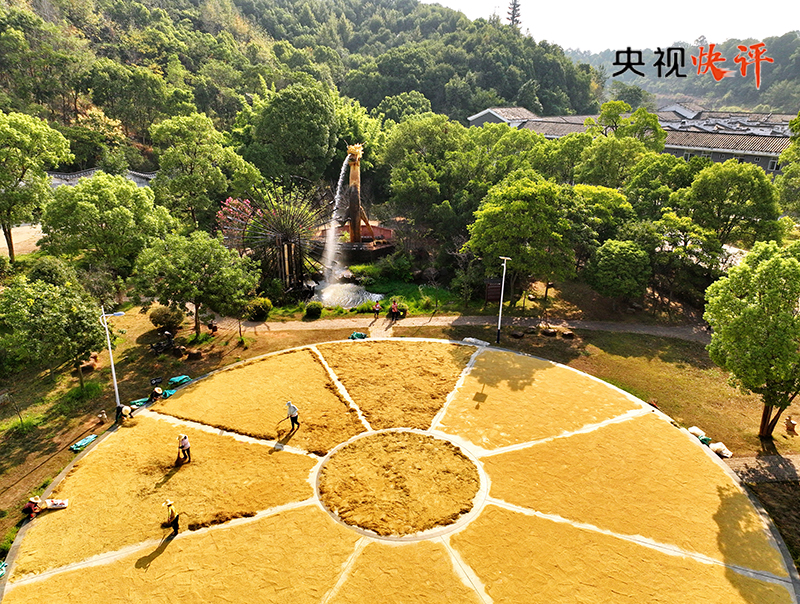 【央視快評(píng)】奮力譜寫(xiě)供銷合作事業(yè)高質(zhì)量發(fā)展新篇章