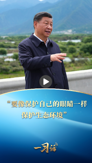 一習(xí)話·美麗中國丨“要像保護(hù)自己的眼睛一樣保護(hù)生態(tài)環(huán)境”