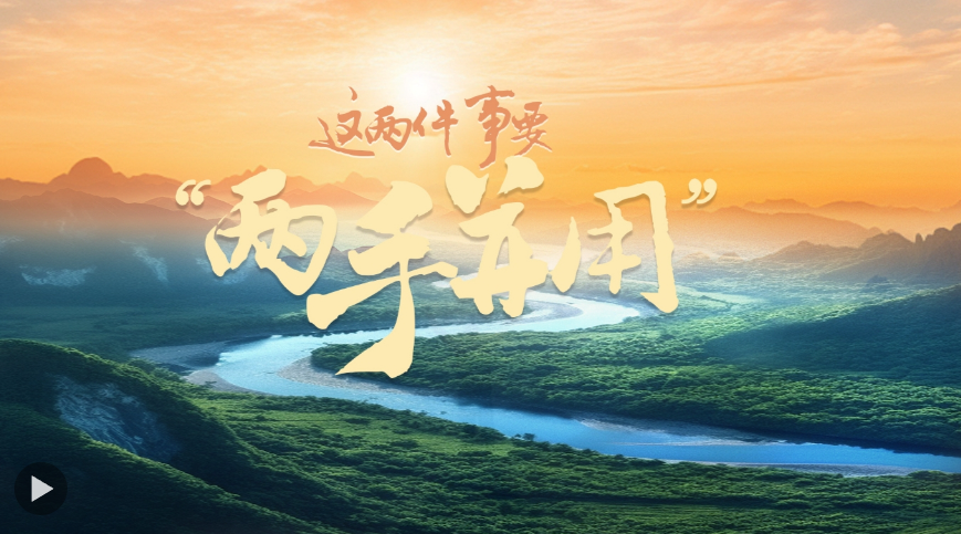 一見·“這兩件事要‘兩手并用’”