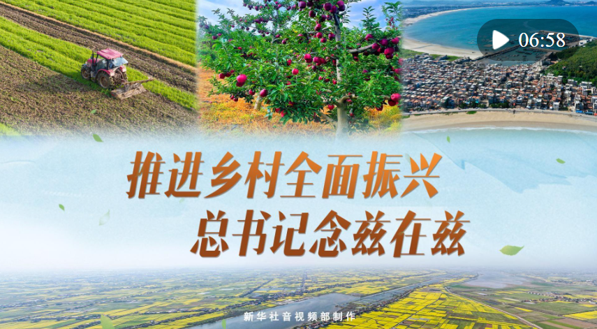 微視頻｜推進鄉(xiāng)村全面振興 總書記念茲在茲