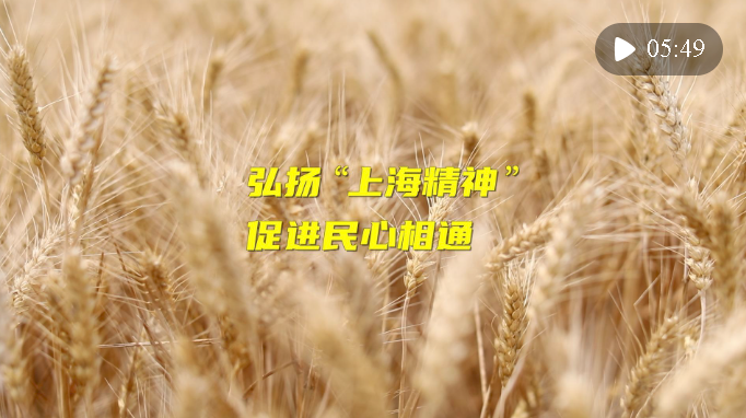 微視頻｜弘揚(yáng)“上海精神” 促進(jìn)民心相通
