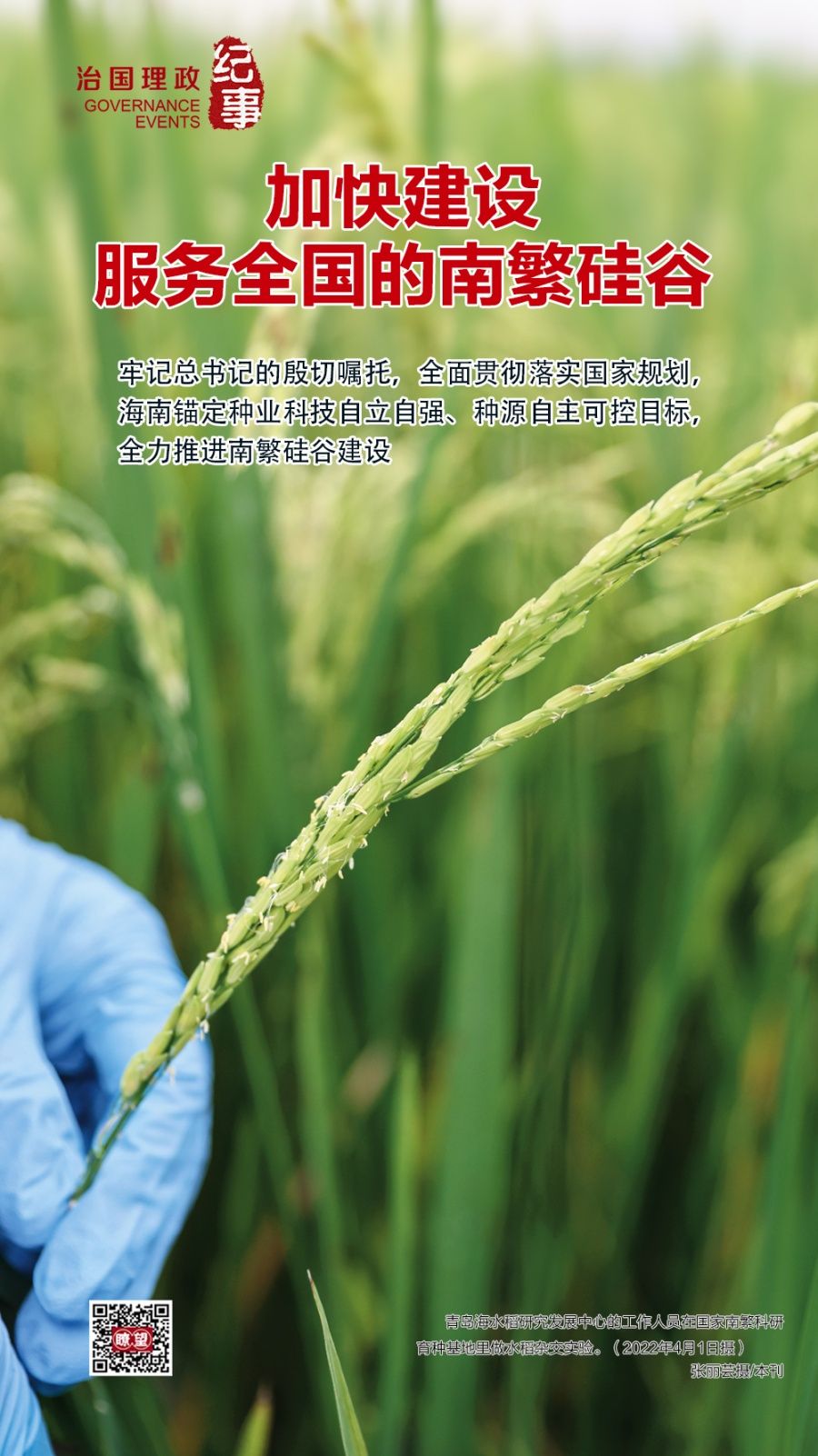 瞭望·治國(guó)理政紀(jì)事｜加快建設(shè)服務(wù)全國(guó)的南繁硅谷