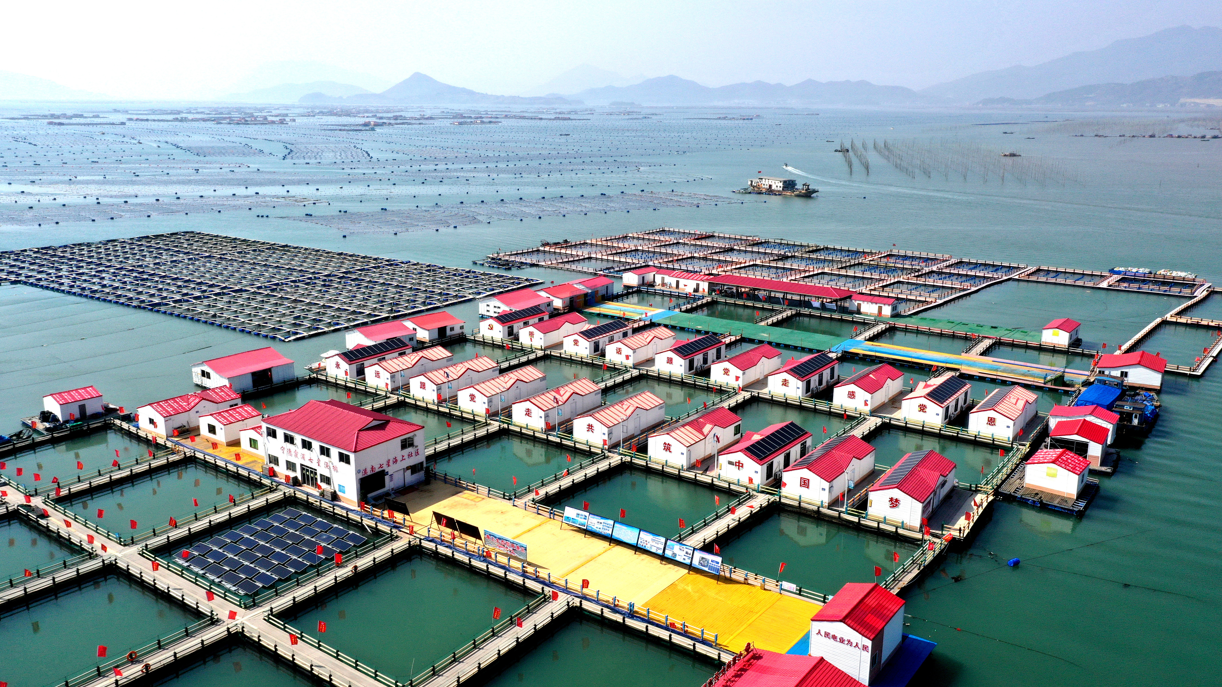 2024年3月20日，福建省寧德市，霞浦縣溪南鎮(zhèn)七星村漁排養(yǎng)殖示范區(qū)，漁民駕駛養(yǎng)殖船進(jìn)行海參養(yǎng)殖作業(yè)。