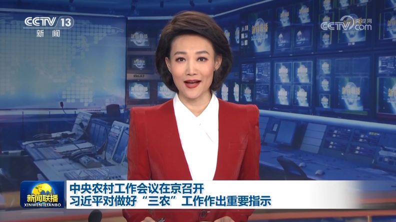 【央視快評】推動農業(yè)基礎更加穩(wěn)固、農村地區(qū)更加繁榮、農民生活更加紅火