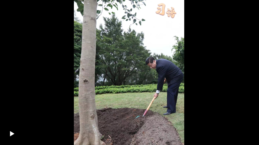 習(xí)語(yǔ)丨改革開(kāi)放要堅(jiān)定不移地走下去