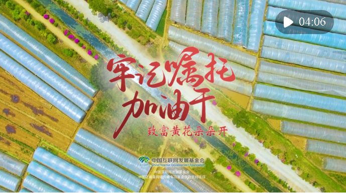 牢記囑托加油干｜致富黃花朵朵開(kāi)
