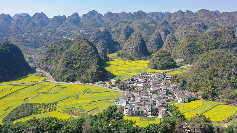 2024年2月17日，貴州省興義市萬峰林景區(qū)的油菜花海景色（無人機照片）。