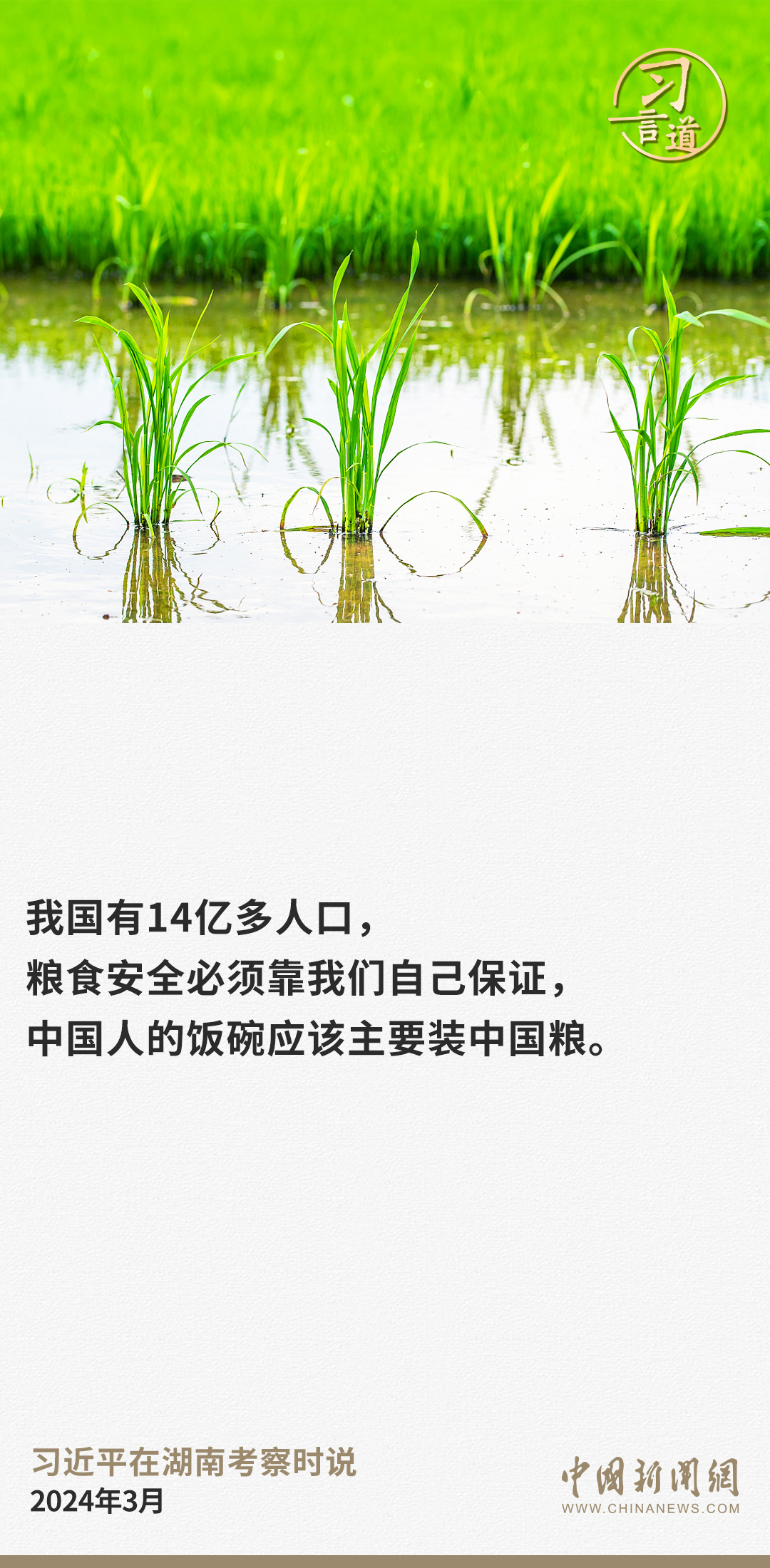 習(xí)言道｜讓種糧也能夠致富