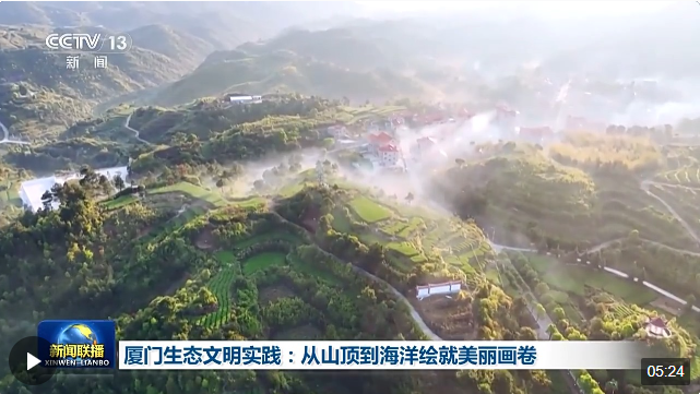 從山頂?shù)胶Ｑ?廈門繪就生態(tài)保護(hù)修復(fù)壯麗圖景