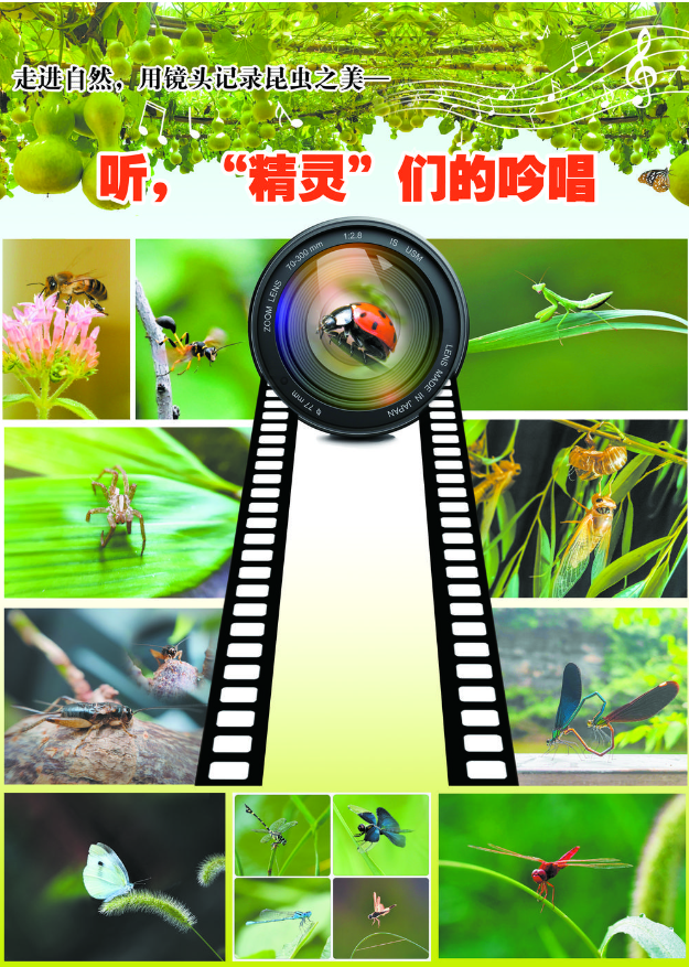 聽，“精靈”們的吟唱