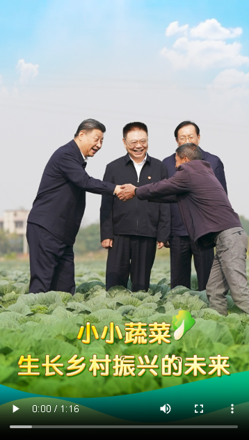 習(xí)近平湖北行丨小小蔬菜，生長鄉(xiāng)村振興的未來