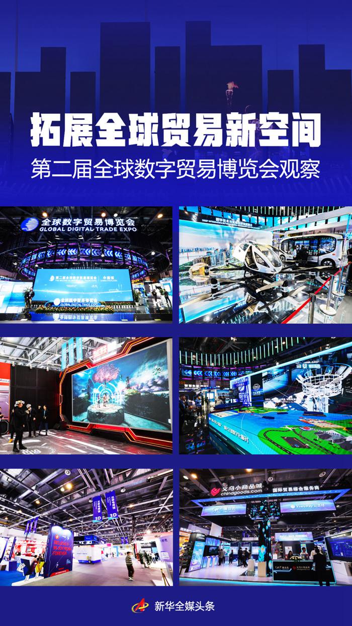 拓展全球貿(mào)易新空間——第二屆全球數(shù)字貿(mào)易博覽會(huì)觀察