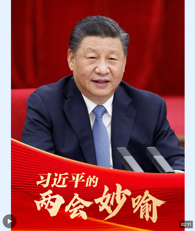 微視頻丨習近平的兩會“妙喻”