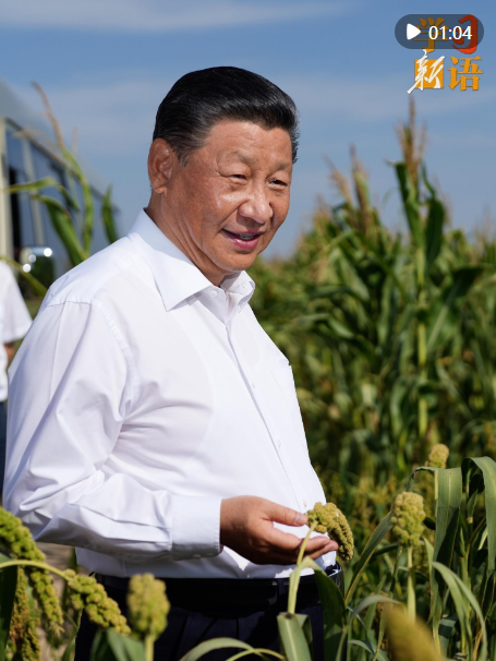 學(xué)習(xí)新語｜“確保中國人的飯碗牢牢端在自己手中”
