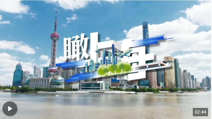 時政微視頻丨瞰上海