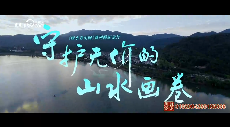 綠水青山間｜守護無價的山水畫卷