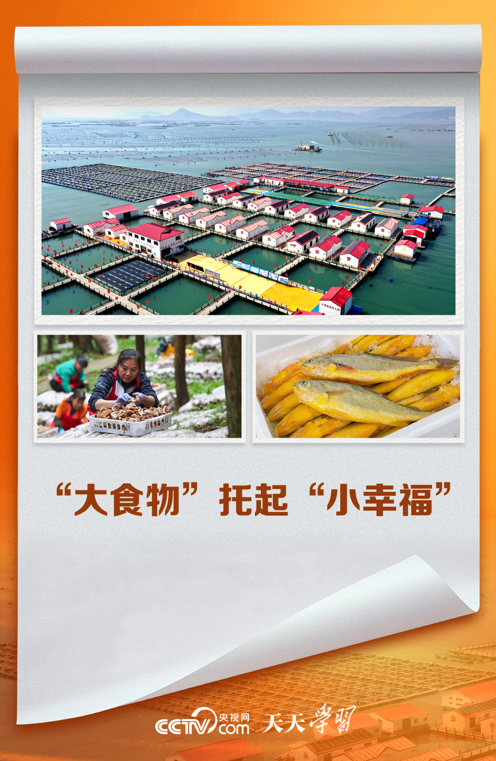 天天學(xué)習(xí)｜“大食物”托起“小幸?！?></a> </div>
            <div   id=