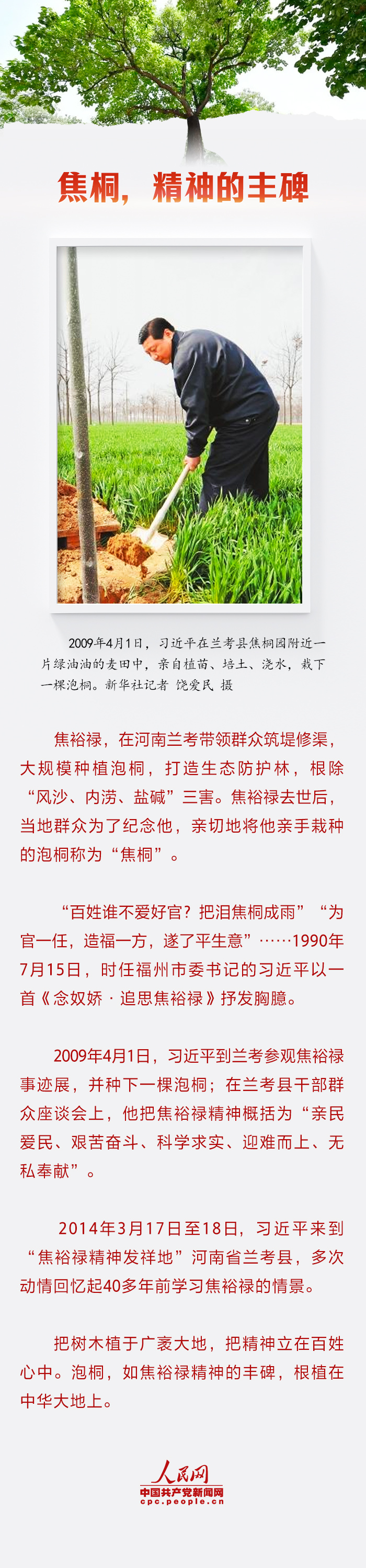 跟總書記一起厚植精神之“樹”