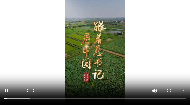 跟著總書(shū)記看中國(guó)｜峒山村的“金山銀山”