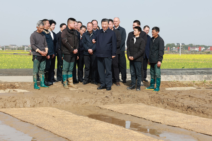 2024年3月18日至21日，中共中央總書記、國家主席、中央軍委主席習(xí)近平在湖南考察。這是19日下午，習(xí)近平在常德市鼎城區(qū)謝家鋪鎮(zhèn)港中坪村走進(jìn)田間，察看秧苗培育和春耕備耕進(jìn)展。新華社記者 王曄 攝