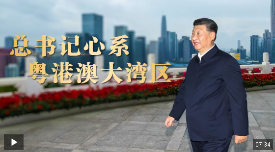 重磅微視頻丨總書記心系粵港澳大灣區(qū)