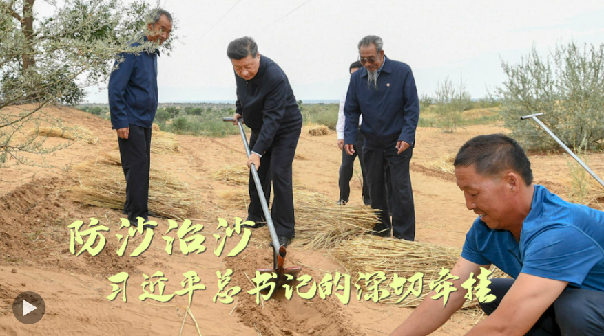 防沙治沙，習(xí)近平總書記的深切牽掛
