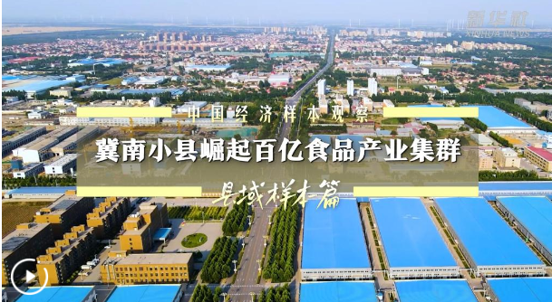 中國經(jīng)濟(jì)樣本觀察·縣域樣本篇｜冀南小縣崛起百億食品產(chǎn)業(yè)集群
