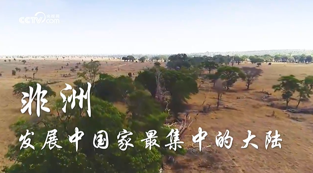 微視頻丨同心同向 共創(chuàng)輝煌