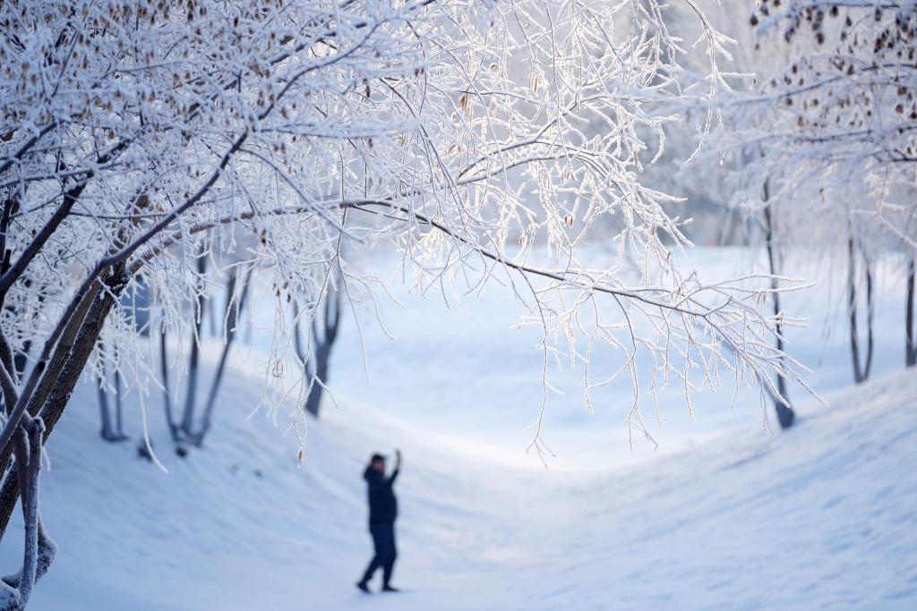 追光丨熱“雪”沸騰，這個冬天火的不只“爾濱”